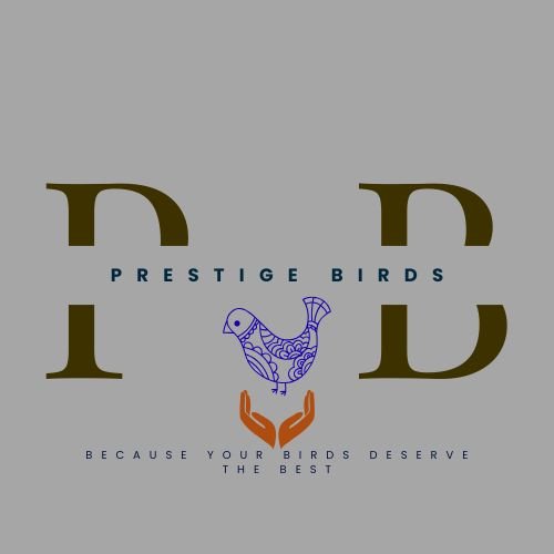 Grey Minimalist Fashion Brand Logo 2